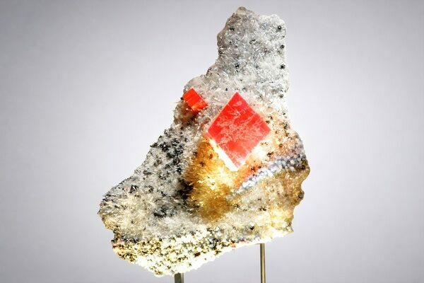 The legendary “Alma King” is a spectacular 14 x 16.5 cm rhombohedral Rhodochrosite crystal from the Sweet Home Mine near Alma, Colorado. Recovered in 1992 from a narrow pocket, it sits dramatically on a matrix of white needle-clear quartz accented by blue fluorite, black sphalerite, tetrahedrite, brassy chalcopyrite, and pale yellow calcite.